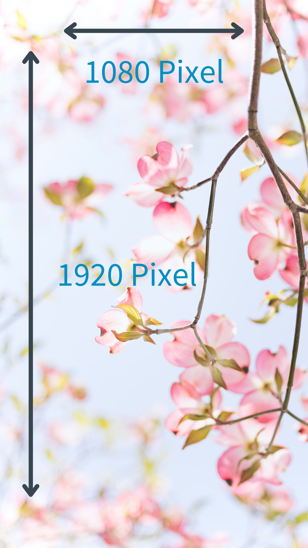 Instagram Story 1080 x 1920 Pixel